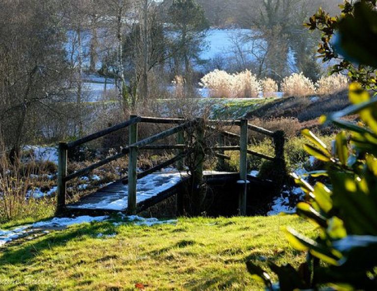 Maison de l'Arbre et de la Nature Chamberet