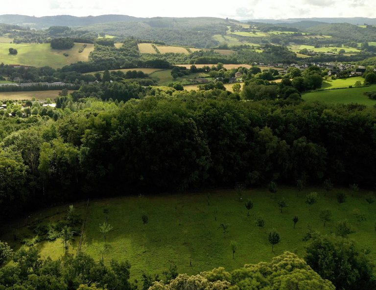 Maison de l'Arbre et de la Nature Chamberet