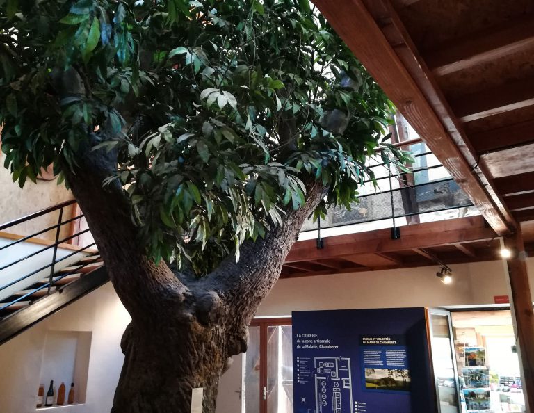Maison de l'Arbre et de la Nature Chamberet